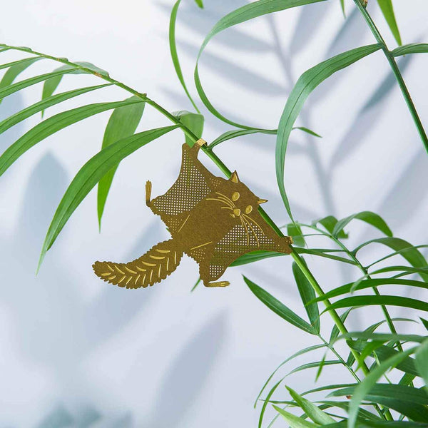 PLANT ANIMAL – Gleithörnchen | Another Studio - wearequiethumans