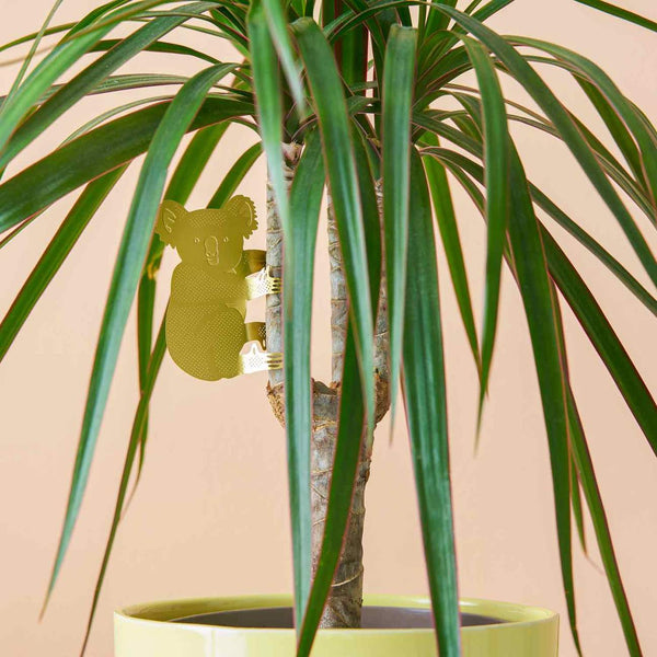 PLANT ANIMAL – Koala | Another Studio - wearequiethumans