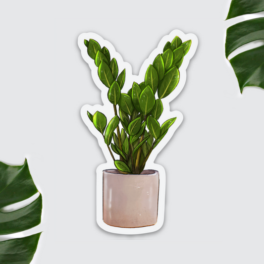 Kühlschrankmagnet - Zamioculcas zamiifolia - Glücksfeder