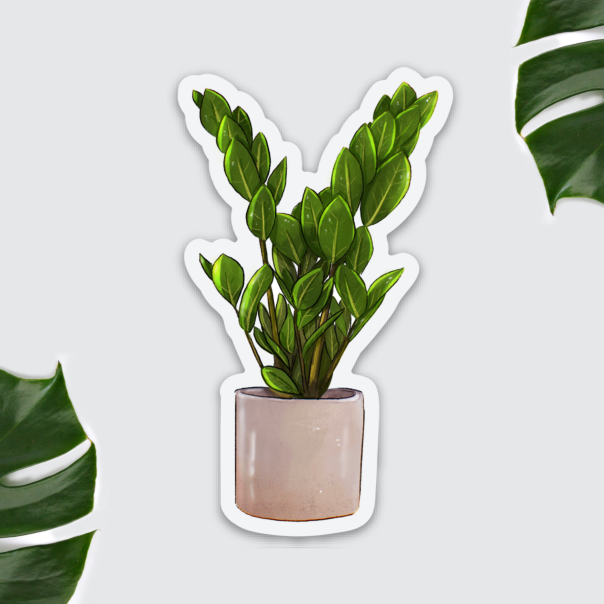Kühlschrankmagnet - Zamioculcas zamiifolia - Glücksfeder