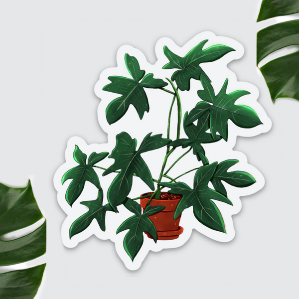 Kühlschrankmagnet - Philodendron Florida Green