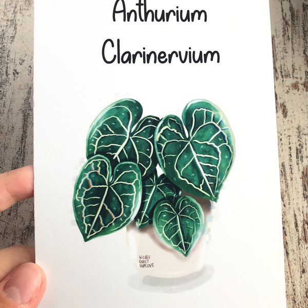 Postkarte / A6 Print - Anthurium Clarinervium - wearequiethumans