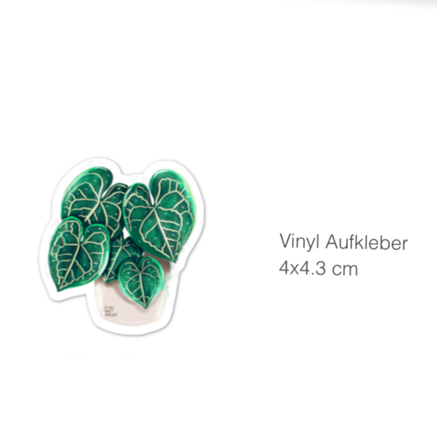 Sticker - Anthurium Clarinervium 5 Blätter - wearequiethumans