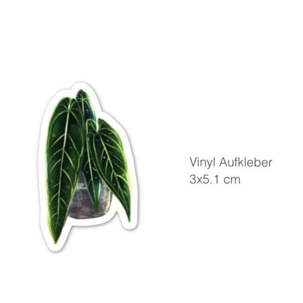 Sticker - Anthurium 3 Blätter - wearequiethumans