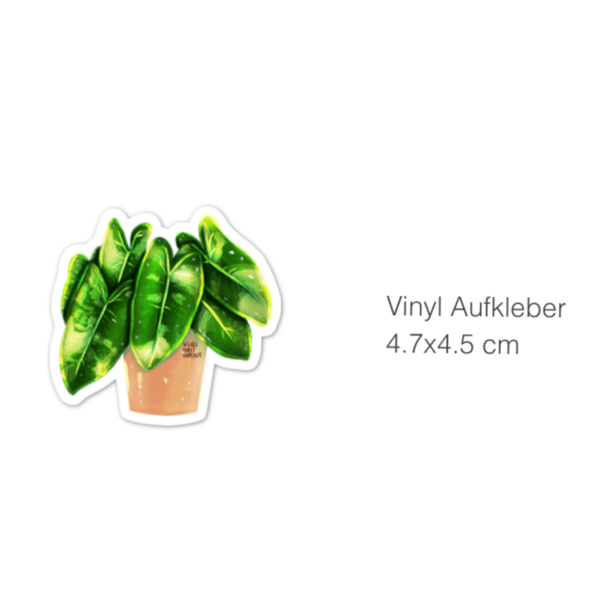 Sticker - Philodendron Burle Marx variegata - wearequiethumans