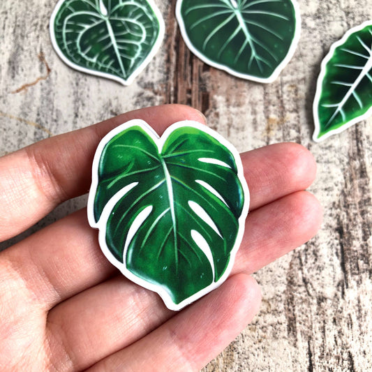 Sticker - Monstera deliciosa 1 Blatt transparent - wearequiethumans