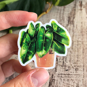 Sticker - Philodendron Burle Marx variegata - wearequiethumans