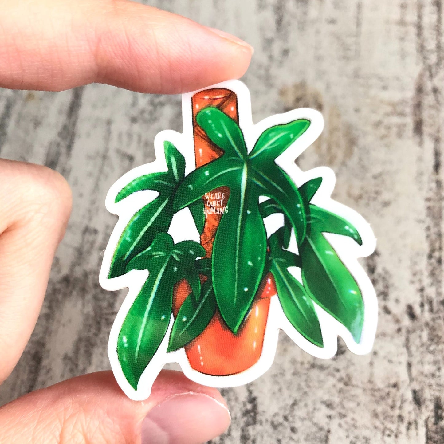 Sticker - Philodendron Florida Green - wearequiethumans