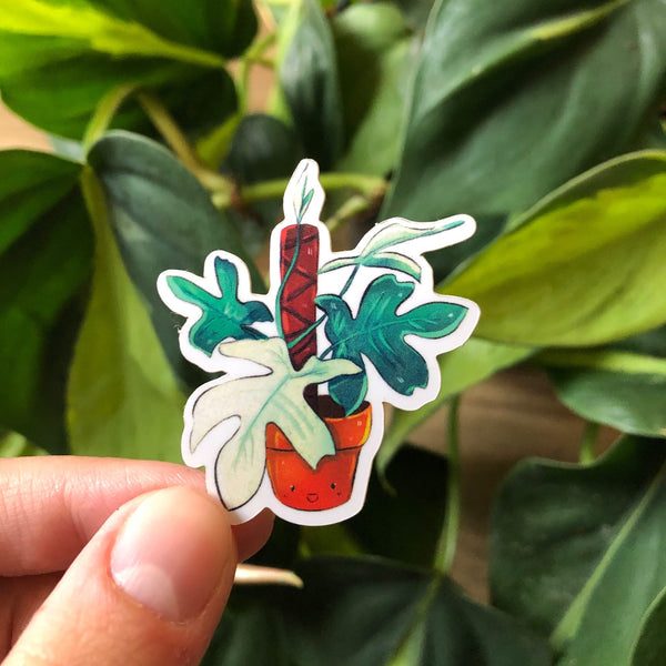 Sticker - Philodendron Florida Ghost - wearequiethumans