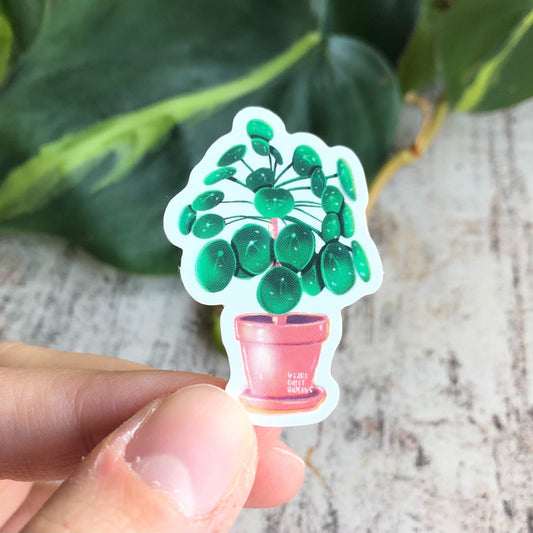 Sticker - Pilea Peperomioides Ufopflanze - wearequiethumans