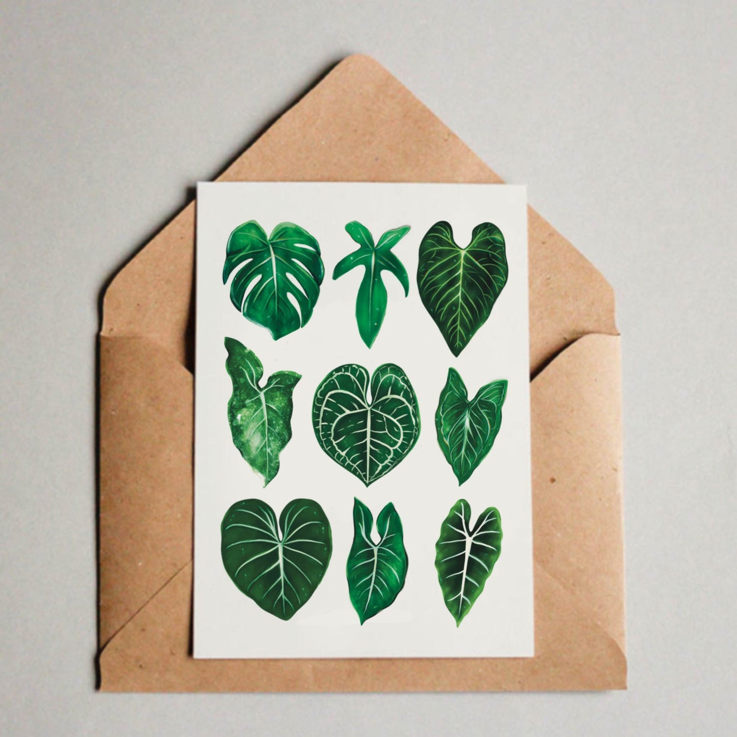 Postkarte mit unterschiedlichen Pflanzenmotiven: Monstera deliciosa, Philodendron Green, Anthurium, Syngonium, Anthurium Clarinervium, Philodendron Gloriosum, Alocasia Frydek.