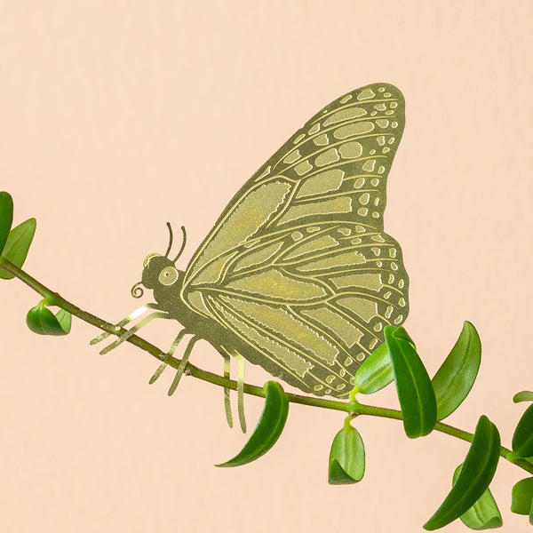 PLANT ANIMAL – Schmetterling | Another Studio