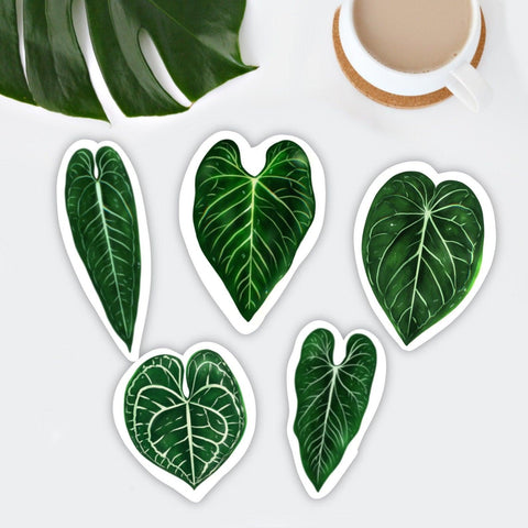 Anthurium Magnet Set - 5 Blätter - wearequiethumans