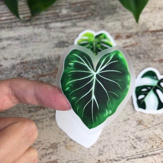 Sticker - Philodendron - 1 Blatt transparent - wearequiethumans