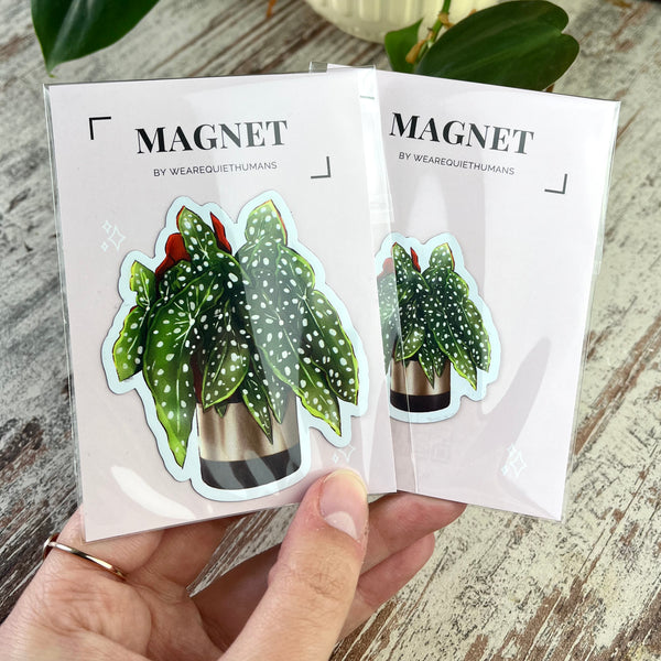 Magnet - Begonia Maculata im Topf - wearequiethumans
