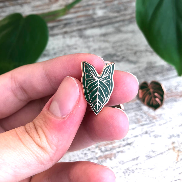 Pin - Syngonium Blatt - wearequiethumans