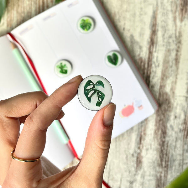 Magnet Set - seltene Pflanzen - Monstera aurea, Philodendron Gloriosum, Alocasia variegata, Monstera adansonii variegata