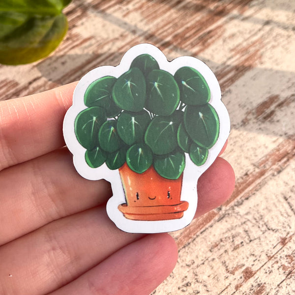 Magnet Pilea mit Gesicht - wearequiethumans