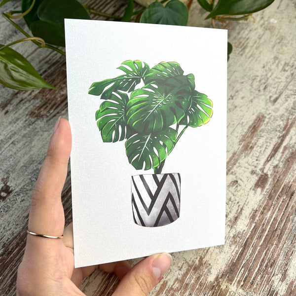 Postkarte / A6 Print -  Monstera deliciosa - wearequiethumans