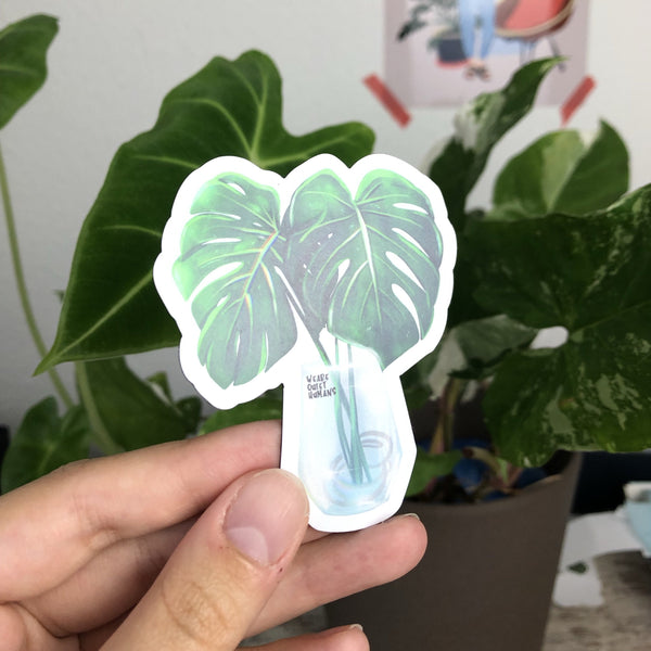 Magnet - Monstera deliciosa im Glas - wearequiethumans
