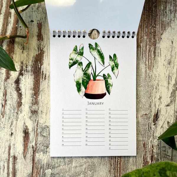 Immerwährender Kalender mit Grünpflanzen in A4 und A5 ohne Jahr