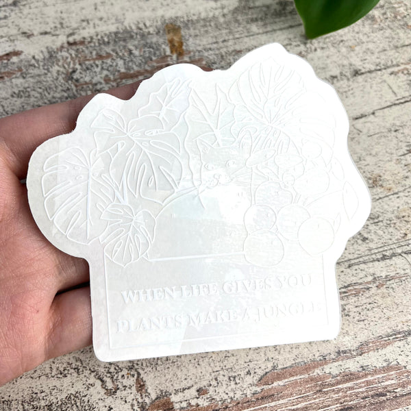 Sun Catcher Sticker - When Life gives you plants - wearequiethumans
