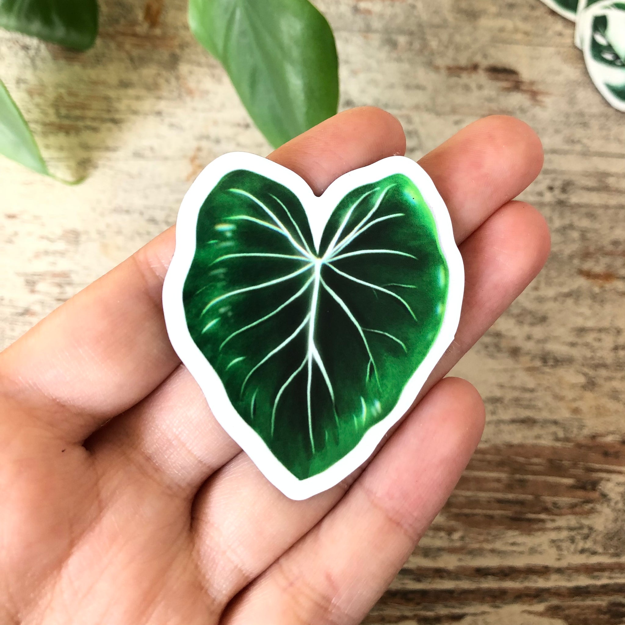 Magnet - Philodendron - 1 Blatt - wearequiethumans