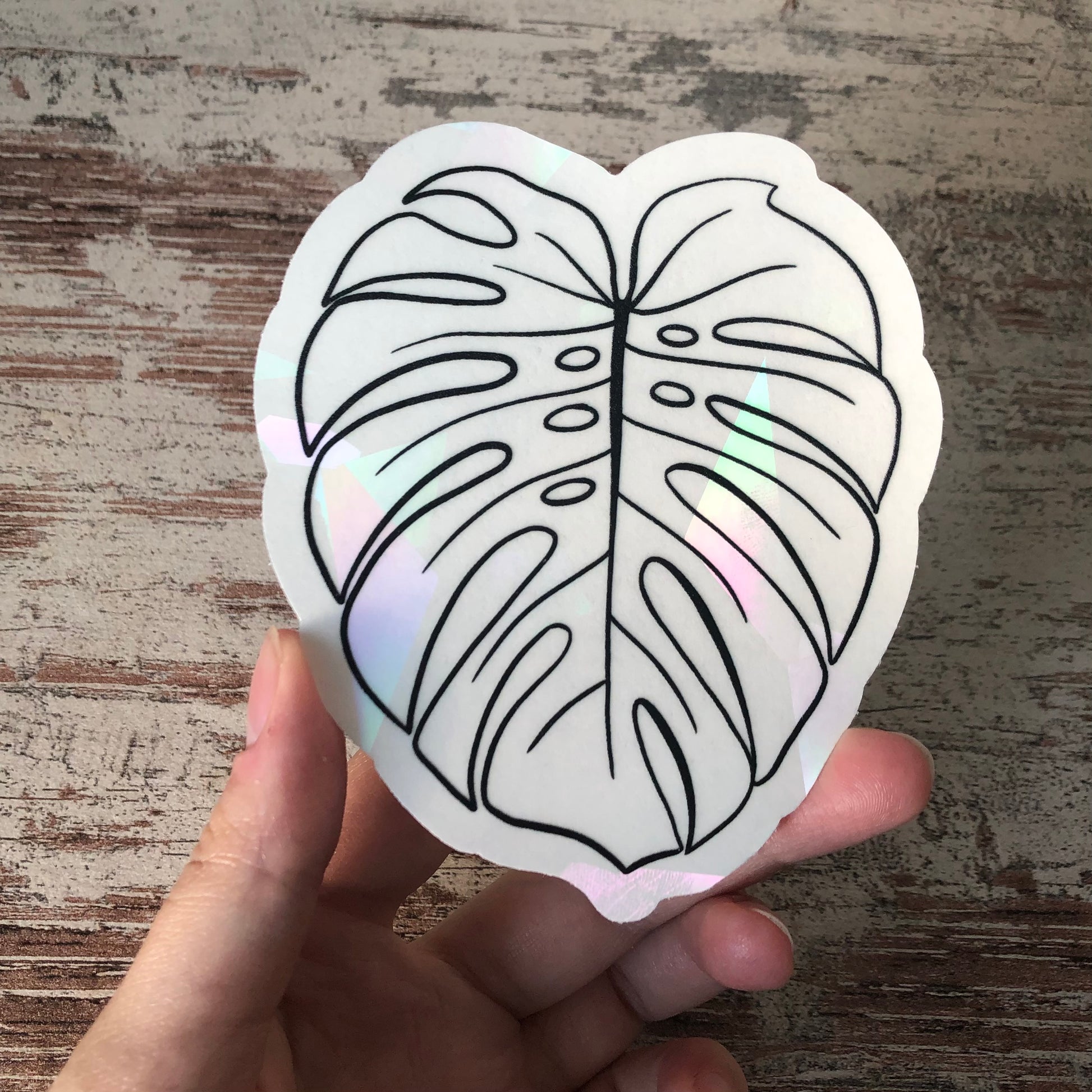 Sun Catcher Sticker - Monstera - wearequiethumans