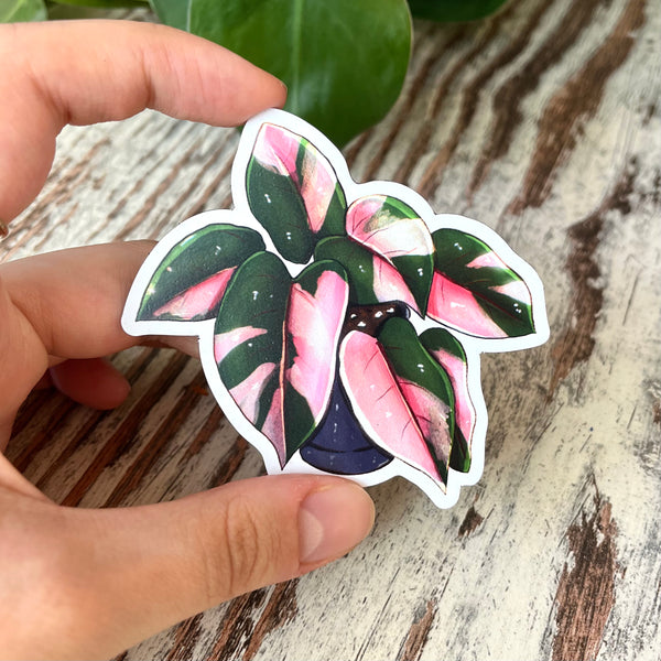 Magnet - Philodendron Prink Princess - wearequiethumans