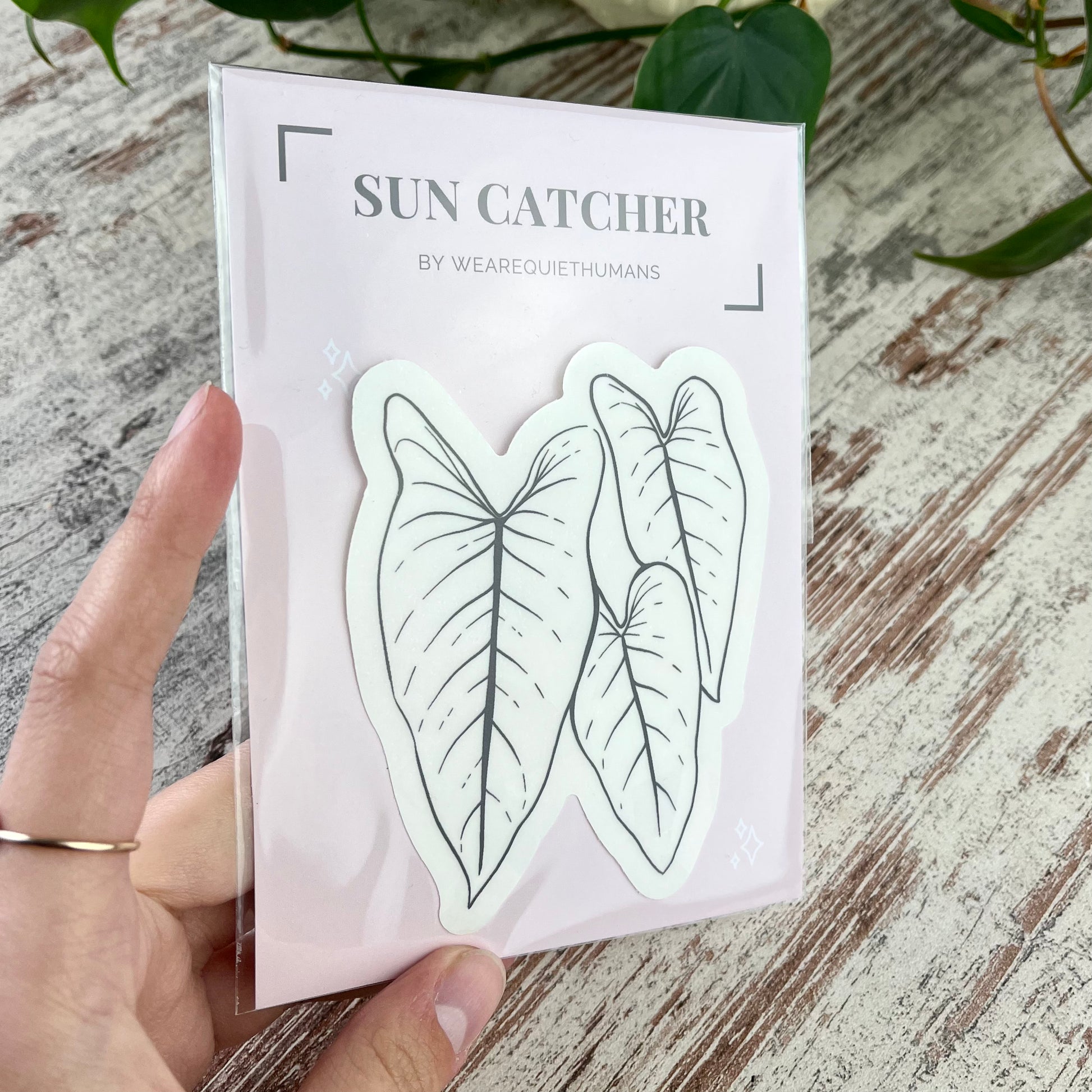 Sun Catcher Sticker - Philodendron - wearequiethumans