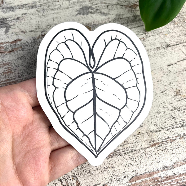 Sun Catcher Sticker - Anthurium Blatt - wearequiethumans