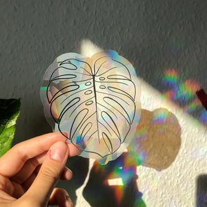 Sun Catcher Sticker - Monstera - wearequiethumans