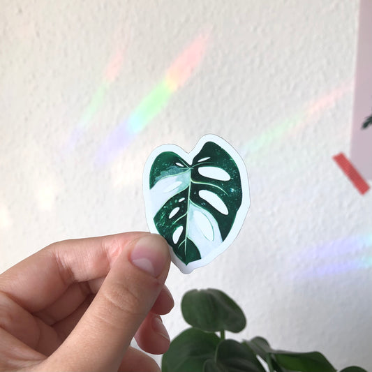 Magnet - Monstera adansonii variegata - 1 Blatt - wearequiethumans