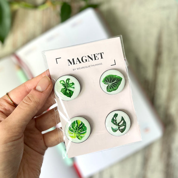 Magnet Set - seltene Pflanzen - Monstera aurea, Philodendron Gloriosum, Alocasia variegata, Monstera adansonii variegata