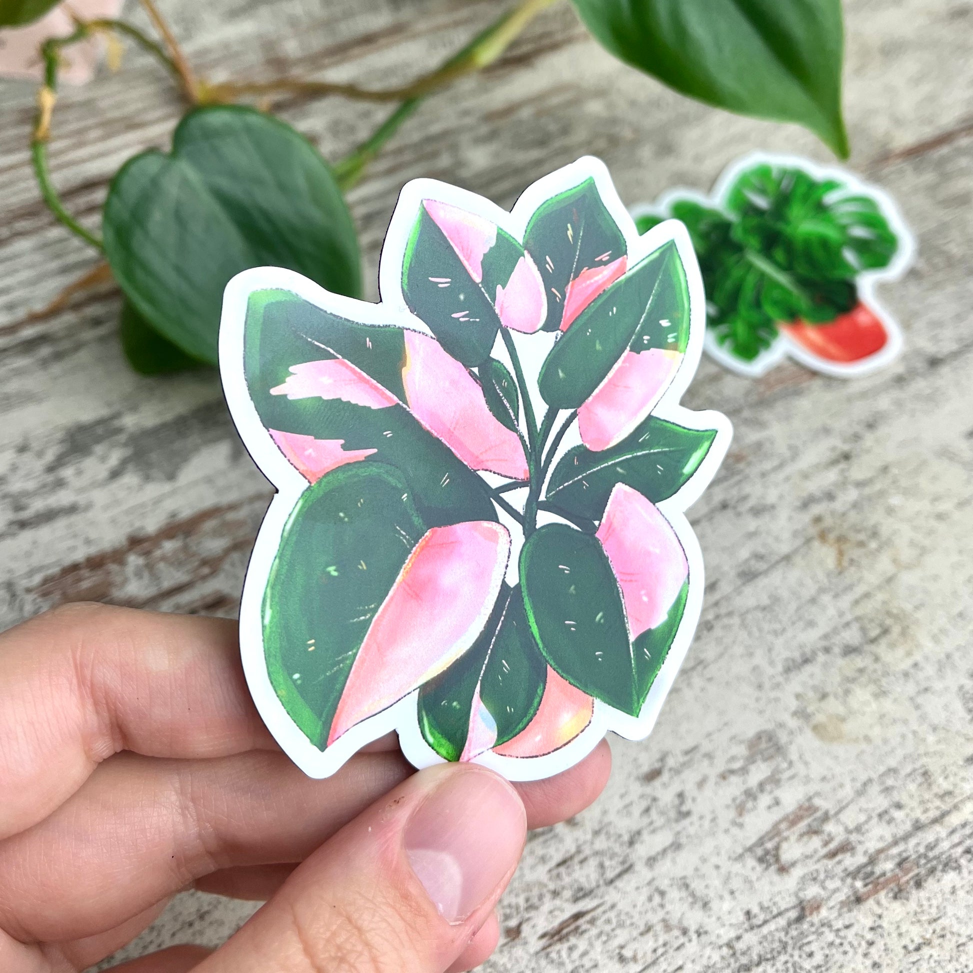Magnet - Philodendron Pink Princess Topf - wearequiethumans