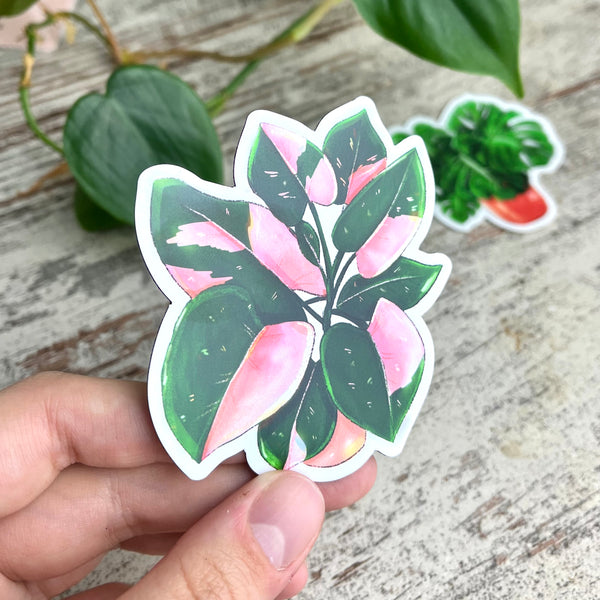 Magnet - Philodendron Pink Princess Topf - wearequiethumans