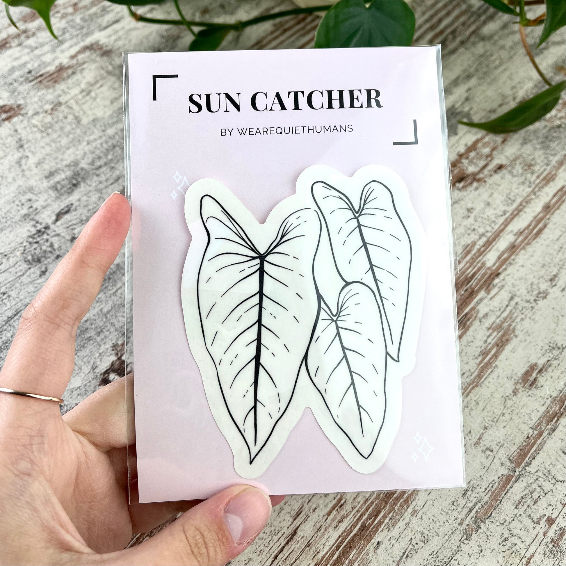 Sun Catcher Sticker - Philodendron - wearequiethumans