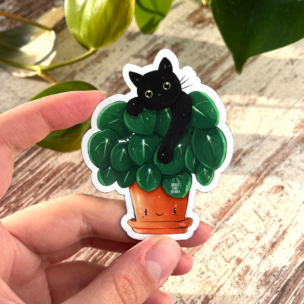 Magnet Pilea mit Katze - wearequiethumans