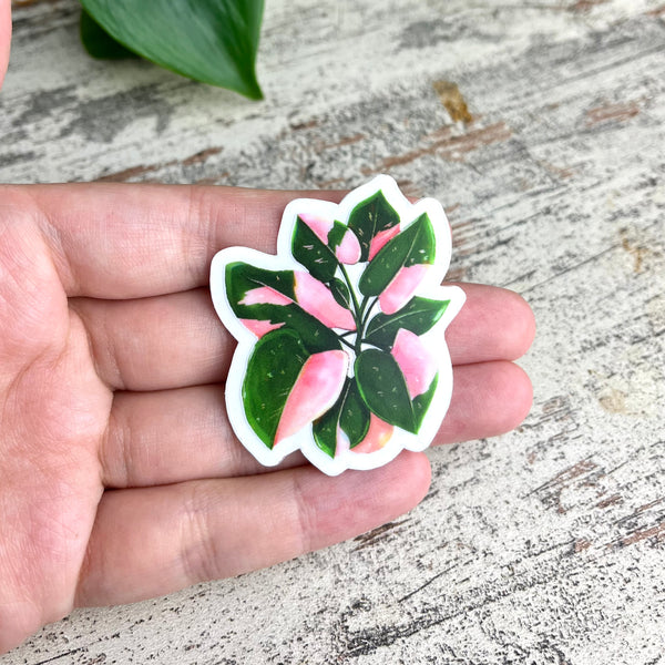 Magnet - Philodendron Pink Princess Topf - wearequiethumans