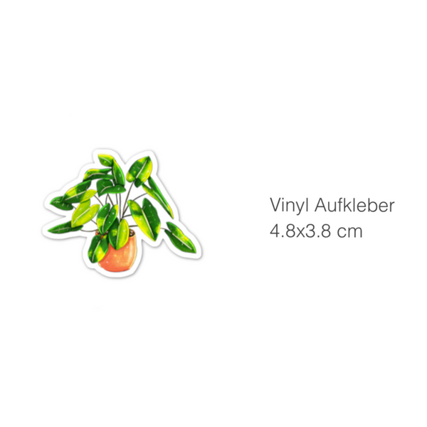 Sticker - Philodendron burle marx Variegata
