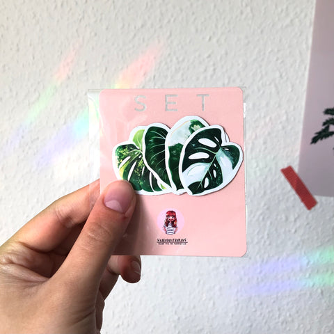 Magnet Set 2 - Alocasia variegata, Monstera adansonii variegata, Monstera Aurea, Philodendron - wearequiethumans