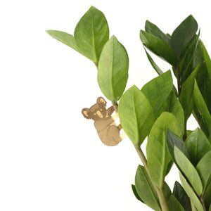 PLANT ANIMAL – Koala | Another Studio - wearequiethumans