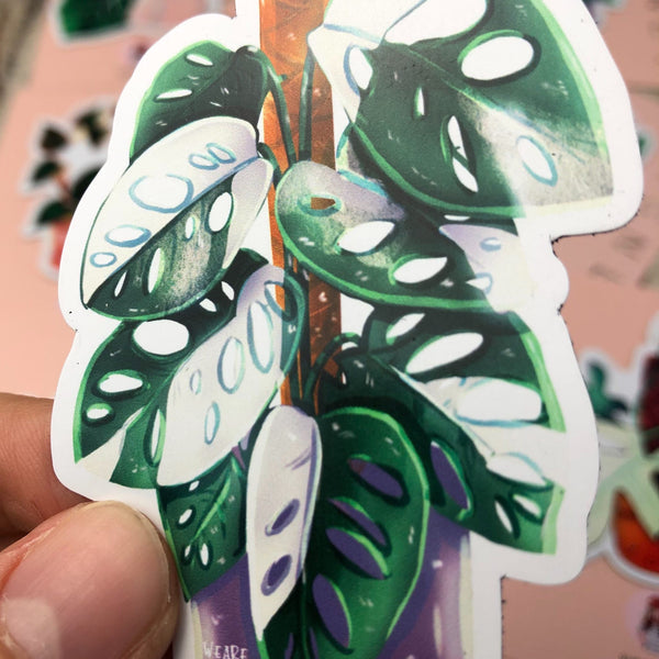Magnet - Monstera adansonii variegata - wearequiethumans