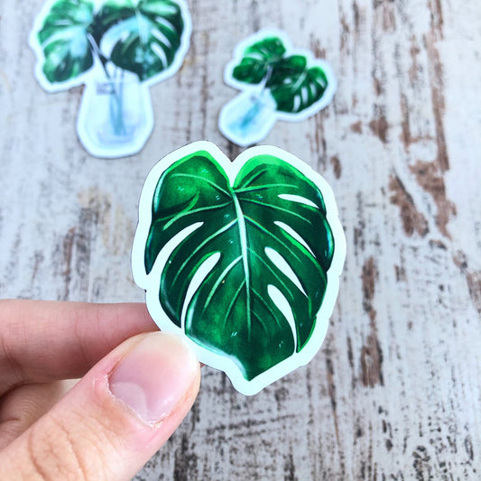 Magnet - Monstera deliciosa 1 Blatt - wearequiethumans