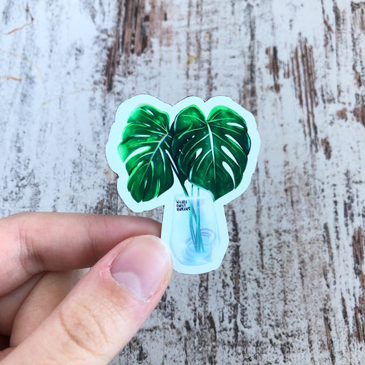 Magnet - Monstera deliciosa im Glas - wearequiethumans