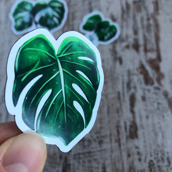Magnet - Monstera deliciosa 1 Blatt - wearequiethumans