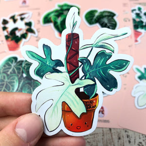 Magnet - Philodendron Florida Ghost - wearequiethumans