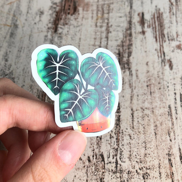 Magnet - Philodendron Gloriosum mit Gesicht - wearequiethumans
