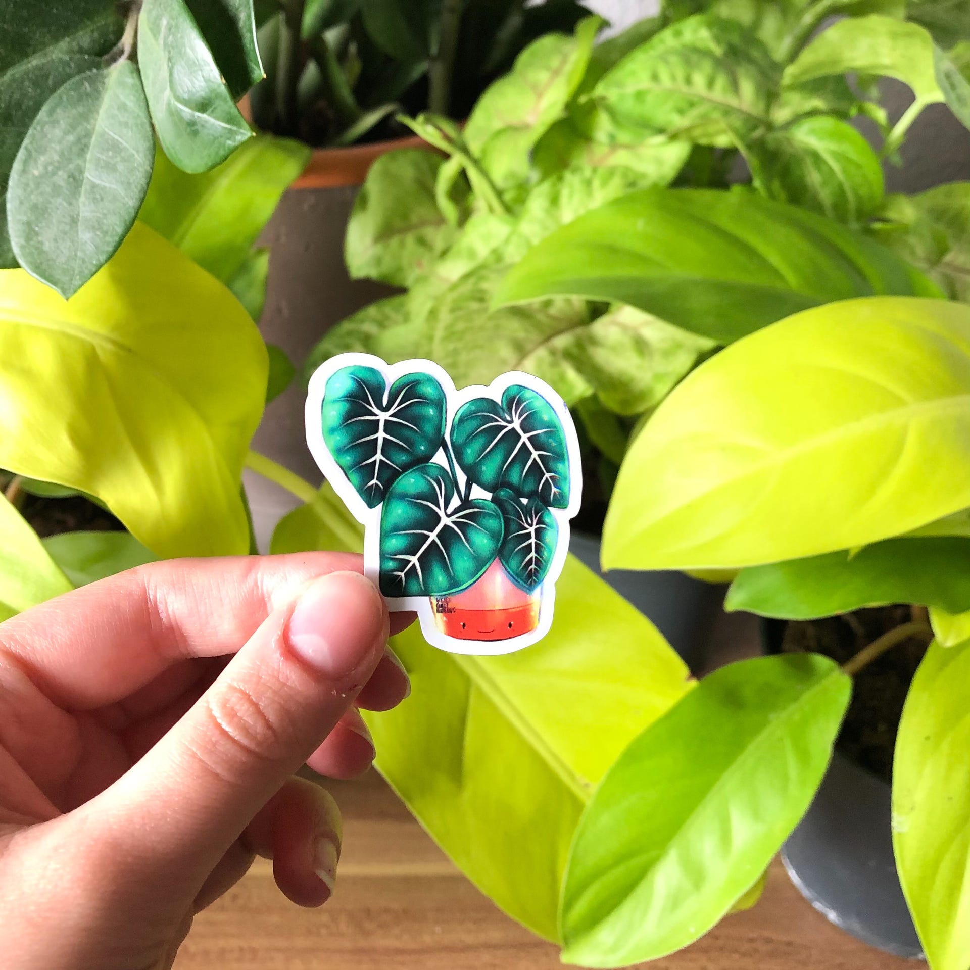 Magnet - Philodendron Gloriosum mit Gesicht - wearequiethumans