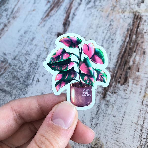 Magnet - Philodendron Pink Princess - wearequiethumans